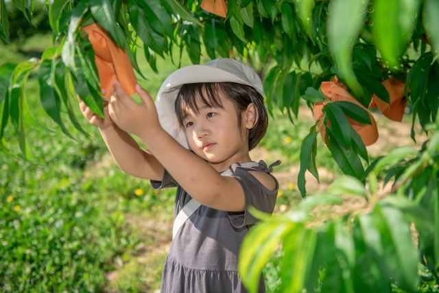 【要予約】果樂の遊び・体験